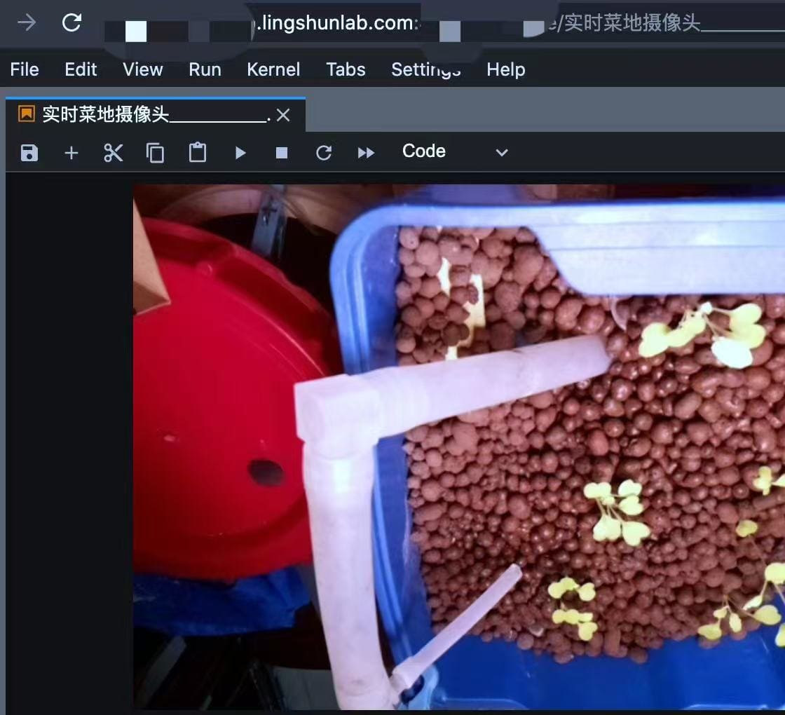 树莓派养鱼种菜Macrame编绳艺术