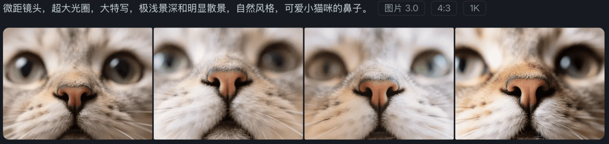 image-20250512222356904